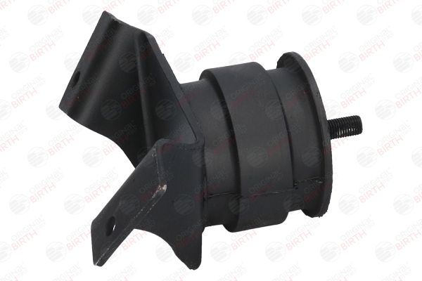 Variklio montavimas BIRTH 51541