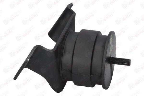 Variklio montavimas BIRTH 51541