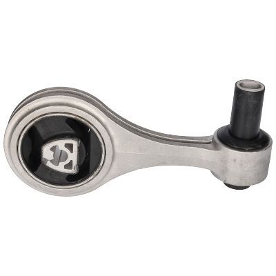 Variklio montavimas BIRTH 51543