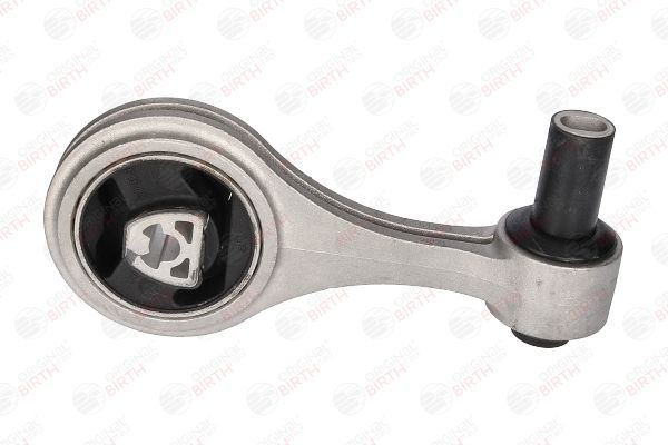 Variklio montavimas BIRTH 51543