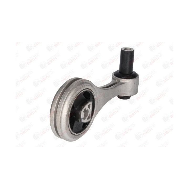 Variklio montavimas BIRTH 51543