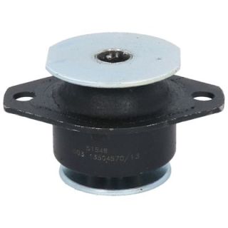 Variklio montavimas BIRTH 51549