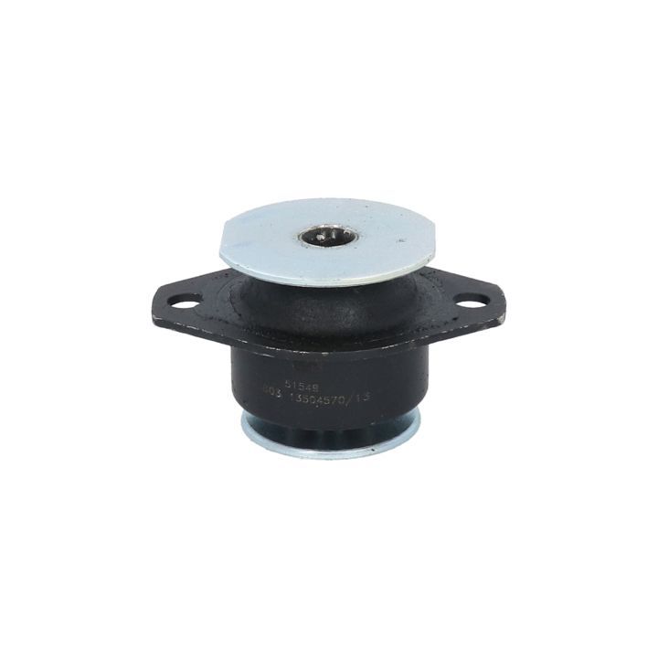 Variklio montavimas BIRTH 51549