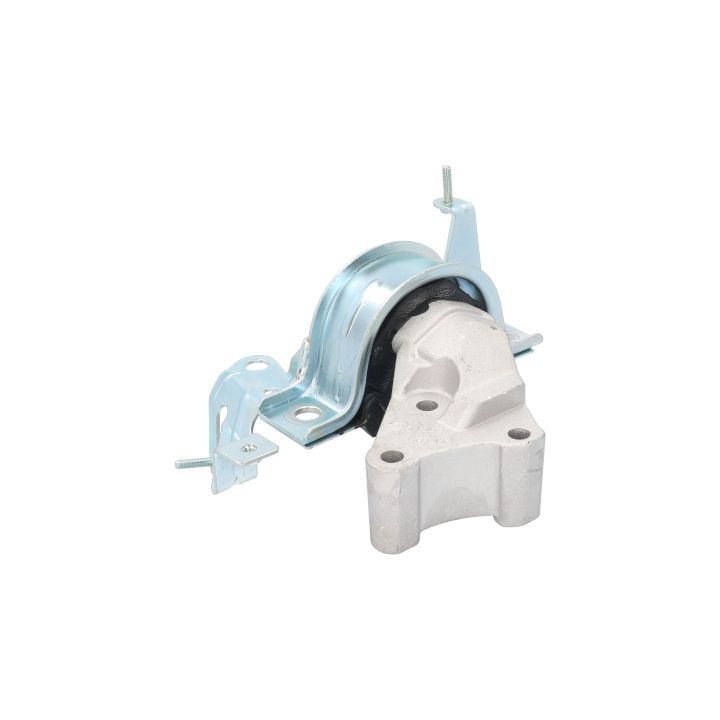 Variklio montavimas BIRTH 51563