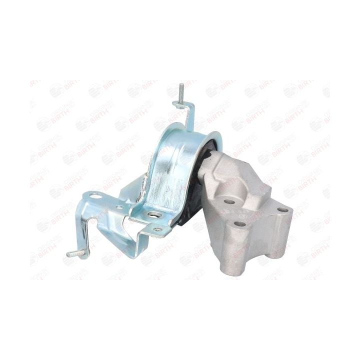 Variklio montavimas BIRTH 51563