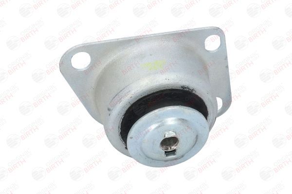 Variklio montavimas BIRTH 51564