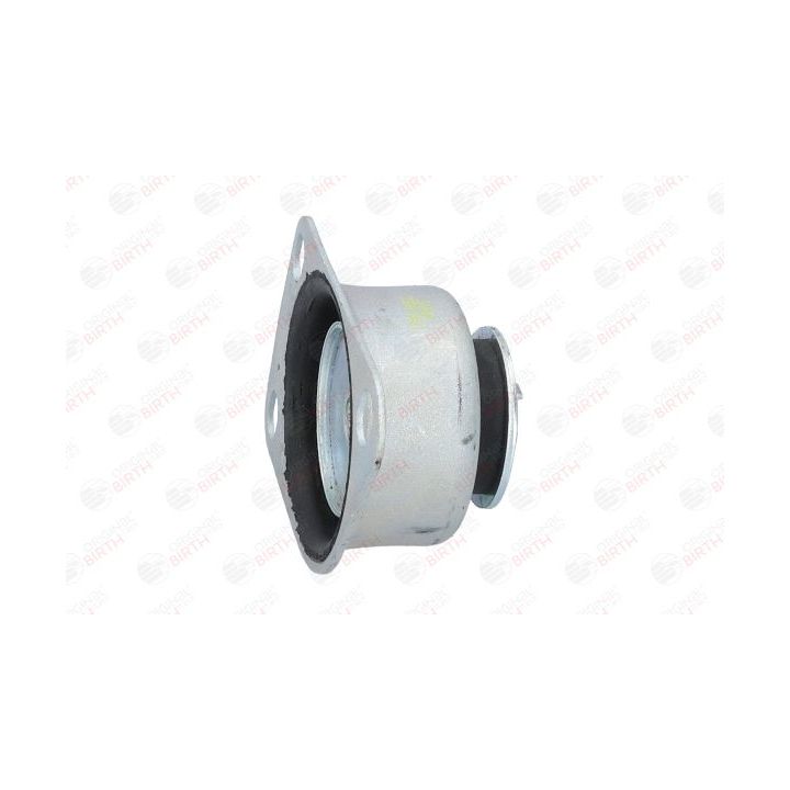 Variklio montavimas BIRTH 51564