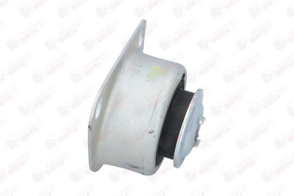 Variklio montavimas BIRTH 51564