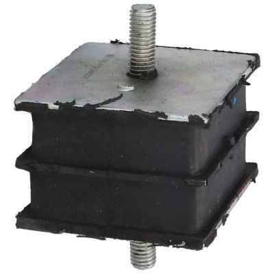 Variklio montavimas BIRTH 51566