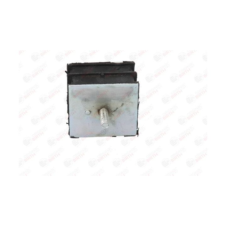 Variklio montavimas BIRTH 51566