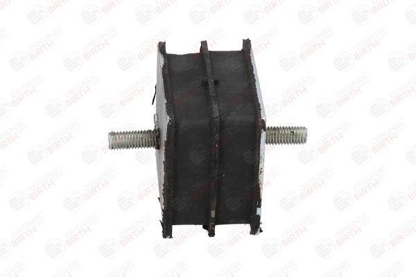 Variklio montavimas BIRTH 51566