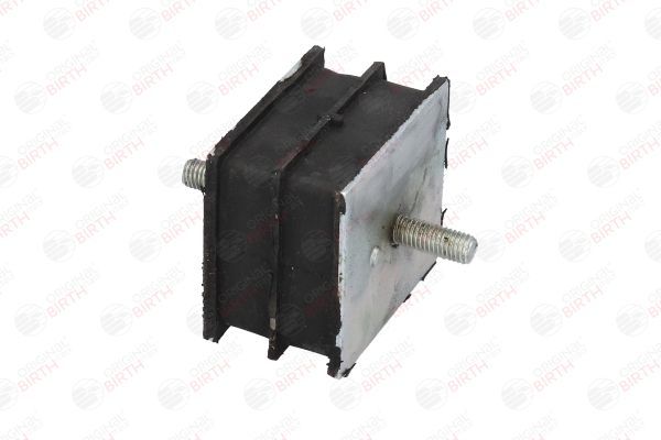 Variklio montavimas BIRTH 51566