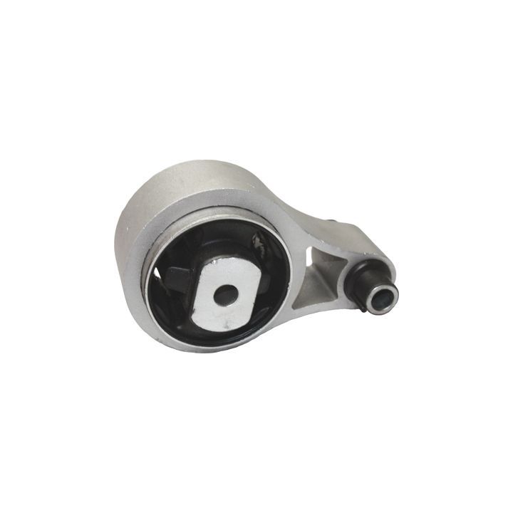 Variklio montavimas BIRTH 51571