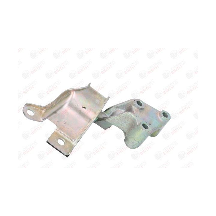 Variklio montavimas BIRTH 51573