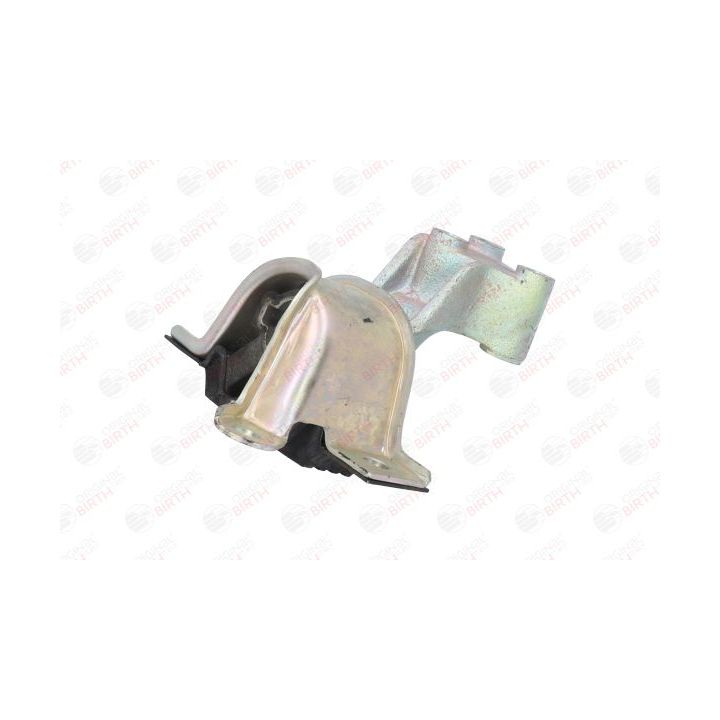 Variklio montavimas BIRTH 51573