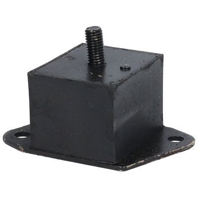 Variklio montavimas BIRTH 51592