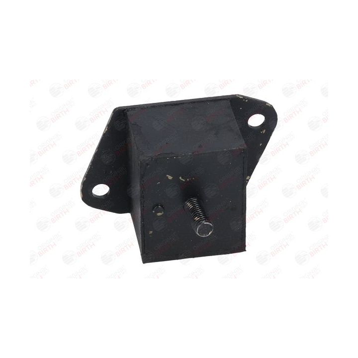 Variklio montavimas BIRTH 51592