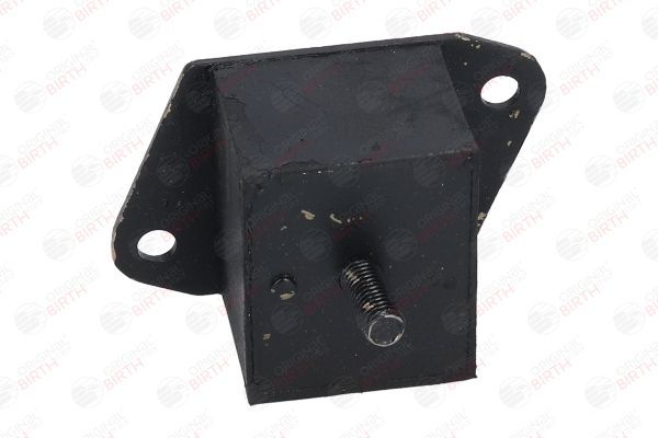 Variklio montavimas BIRTH 51592