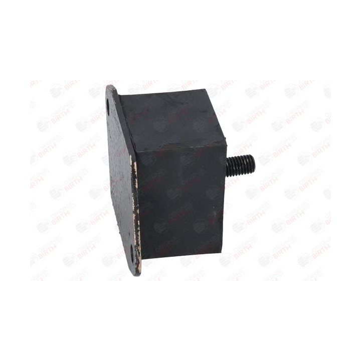 Variklio montavimas BIRTH 51592