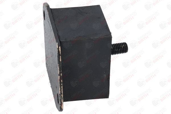 Variklio montavimas BIRTH 51592