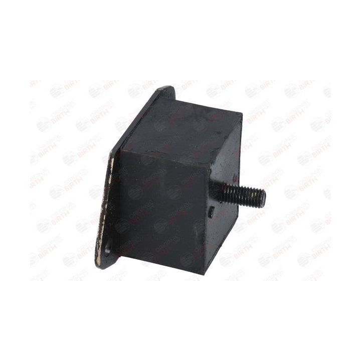 Variklio montavimas BIRTH 51592