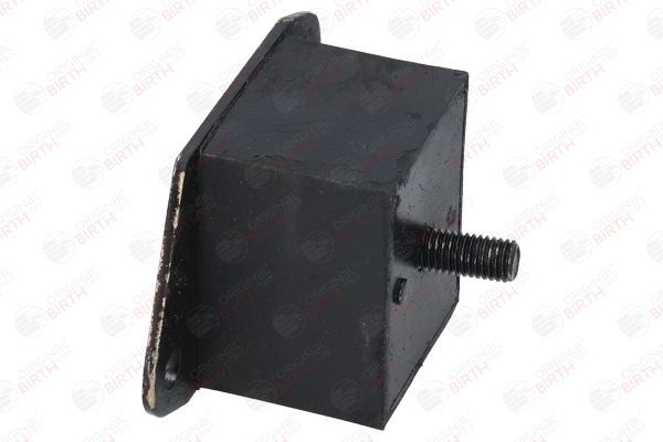 Variklio montavimas BIRTH 51592