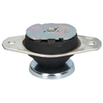 Variklio montavimas BIRTH 51595