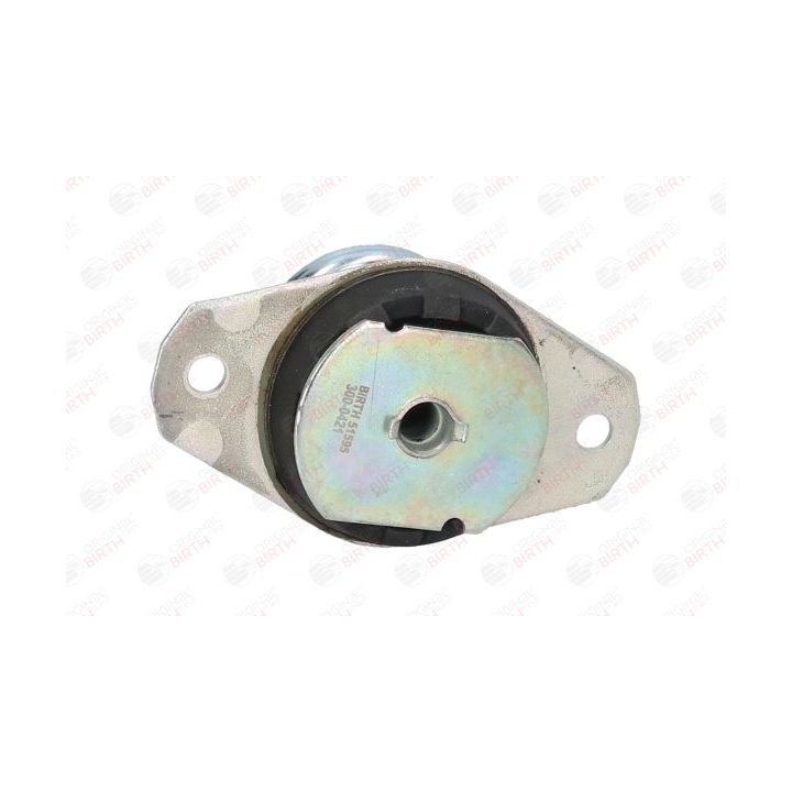 Variklio montavimas BIRTH 51595