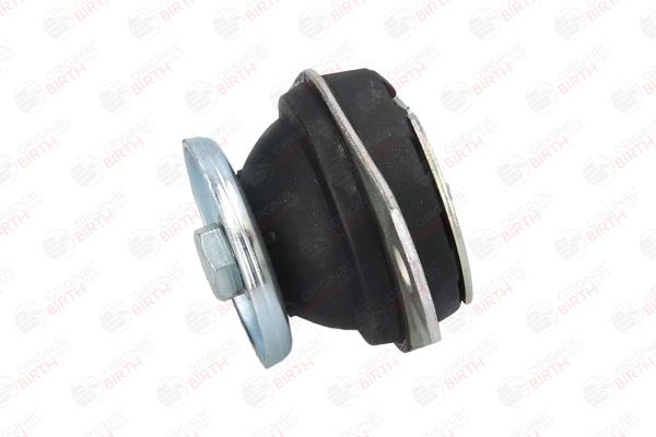 Variklio montavimas BIRTH 51595