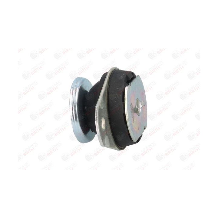 Variklio montavimas BIRTH 51595