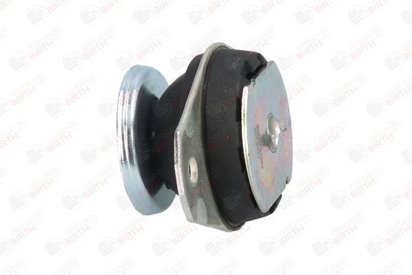 Variklio montavimas BIRTH 51595