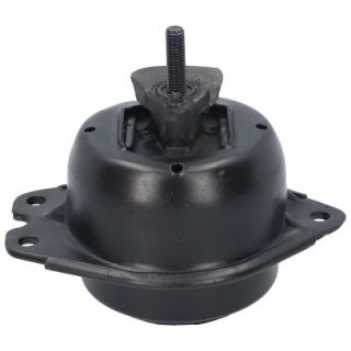 Variklio montavimas BIRTH 51658