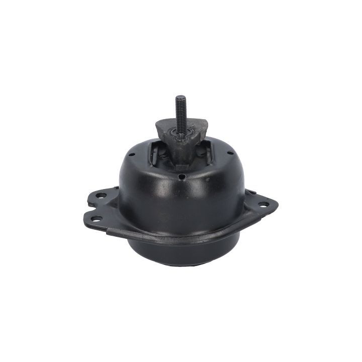 Variklio montavimas BIRTH 51658