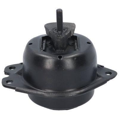 Variklio montavimas BIRTH 51658