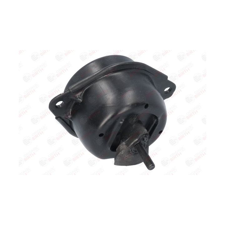 Variklio montavimas BIRTH 51658