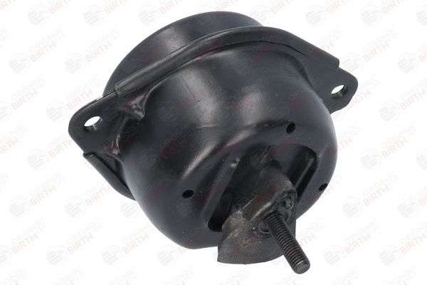 Variklio montavimas BIRTH 51658