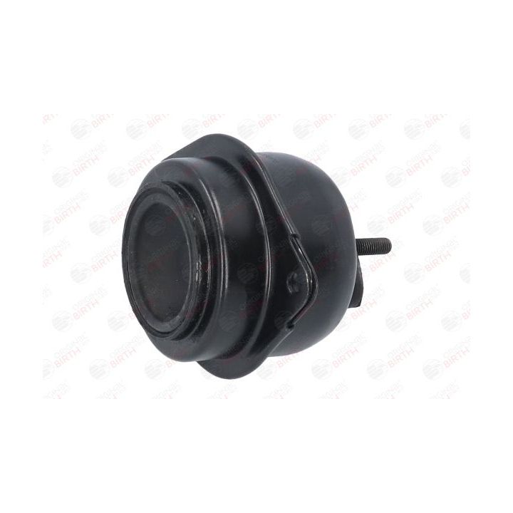 Variklio montavimas BIRTH 51658