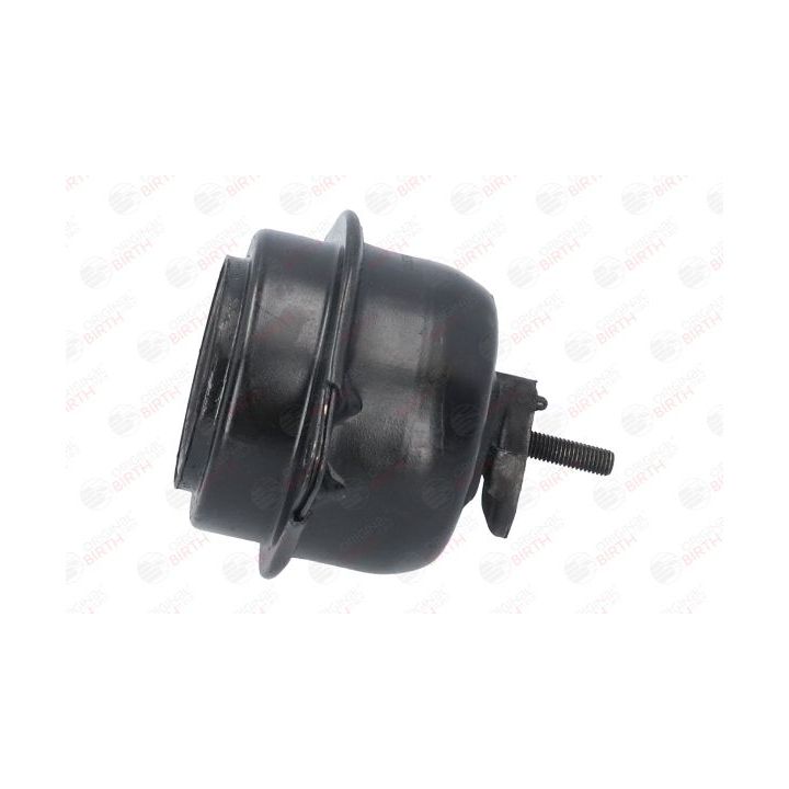 Variklio montavimas BIRTH 51658