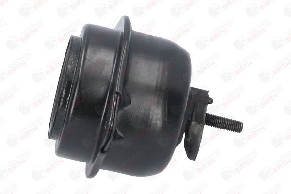 Variklio montavimas BIRTH 51658