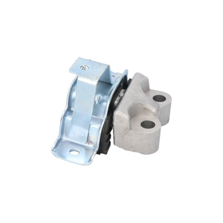 Variklio montavimas BIRTH 51686