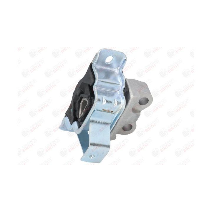 Variklio montavimas BIRTH 51686