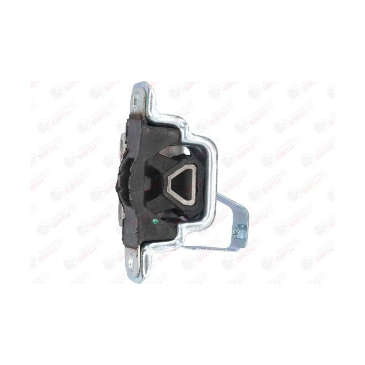 Variklio montavimas BIRTH 51686