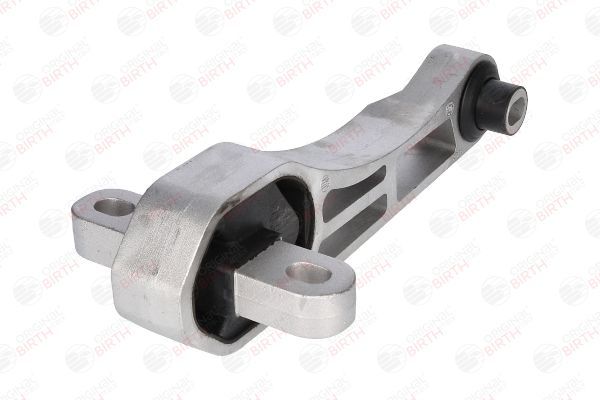 Variklio montavimas BIRTH 51703