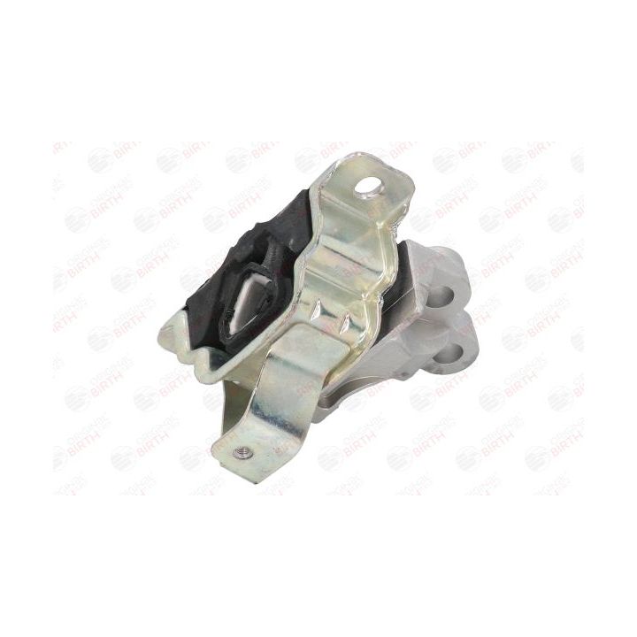 Variklio montavimas BIRTH 51705