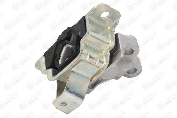 Variklio montavimas BIRTH 51705