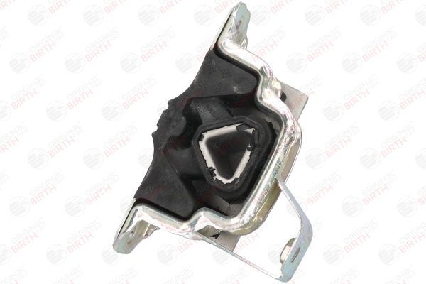 Variklio montavimas BIRTH 51705