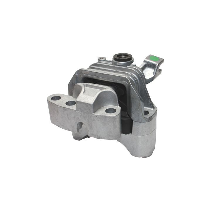 Variklio montavimas BIRTH 51708