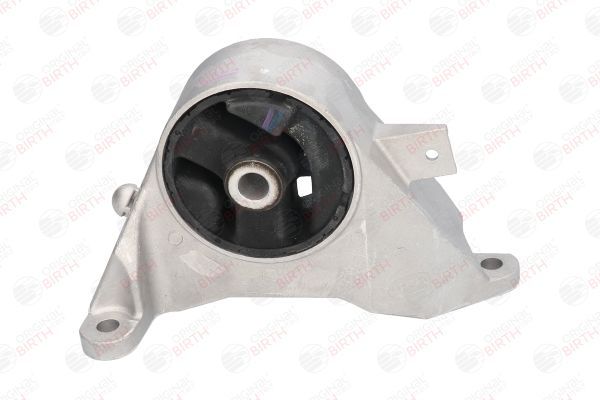 Variklio montavimas BIRTH 51728