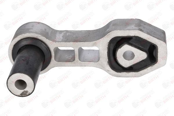 Variklio montavimas BIRTH 51739