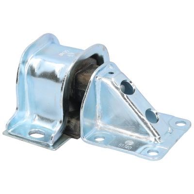 Variklio montavimas BIRTH 51740